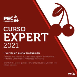 PEC E-LEARNING EXPERT 2021