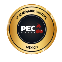 logo-mexico2021