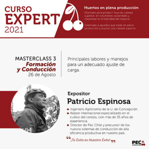 PEC E-Learning EXPERT 2021: Masterclass 3 - Formación y conducción