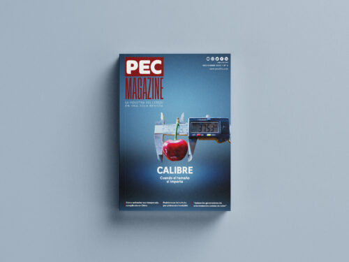 6ª edición pec magazine
